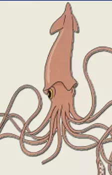 imagem de capa do personagem Obake Ika