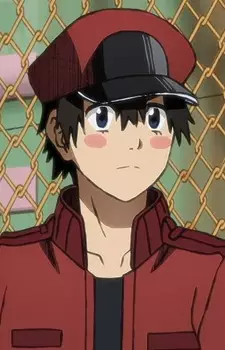 imagem de capa do personagem Sekkekkyuu NC8429