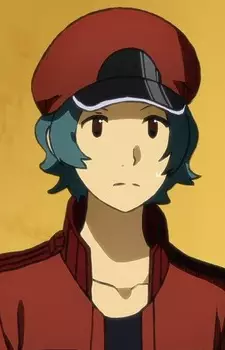 imagem de capa do personagem Sekkekkyuu