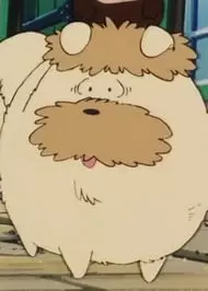 imagem de capa do personagem Shindobukku