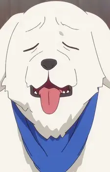 imagem de capa do personagem Chibi