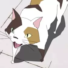 imagem de capa do personagem The Wind Cat