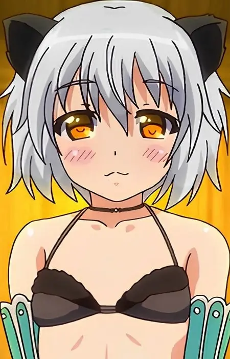 imagem de capa do personagem Litius