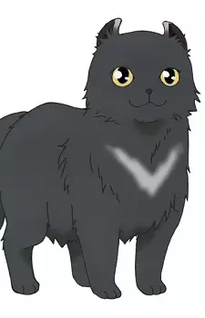 imagem de capa do personagem Yozora