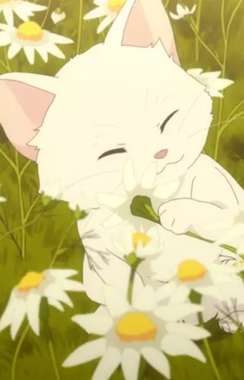 imagem de capa do personagem Hana