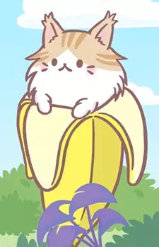 imagem de capa do personagem Maine Coon Bananya
