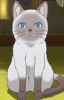 imagem de capa do personagem Kama