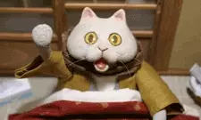 imagem de capa do personagem Kotatsu Neko