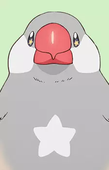 imagem de capa do personagem Pii-chan