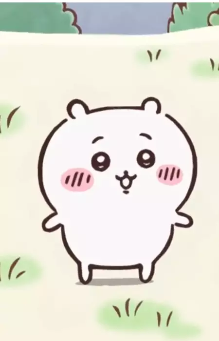 imagem de capa do personagem Chiikawa