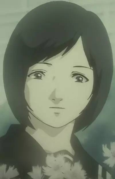 imagem de capa do personagem Shizue Wakasa