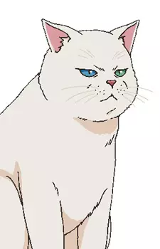 imagem de capa do personagem Pepe-chan