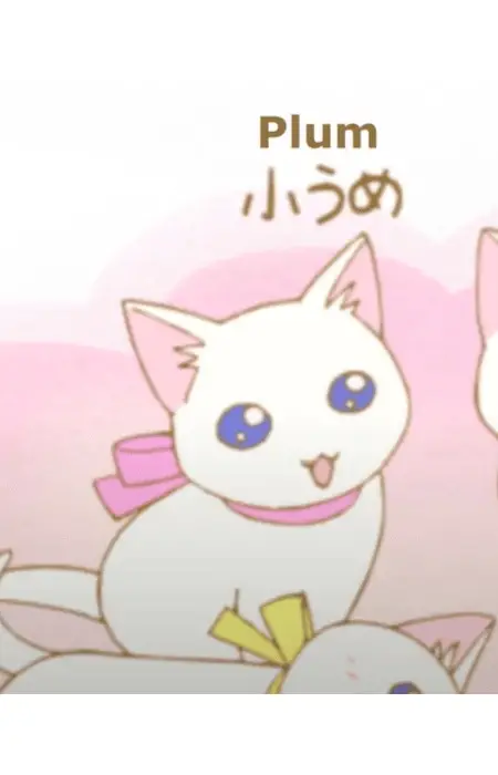 imagem de capa do personagem Plum