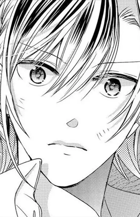 imagem de capa do personagem Ruka Saotome