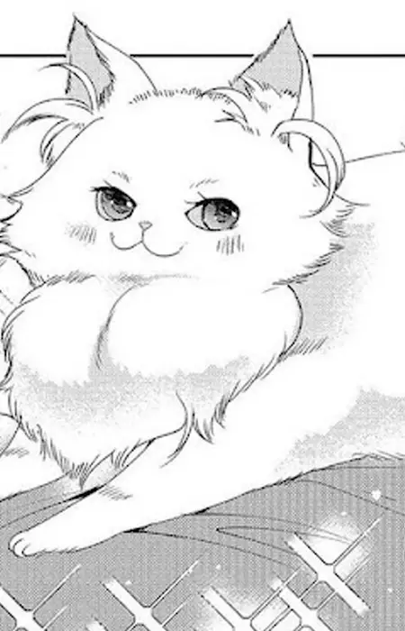 imagem de capa do personagem Marian
