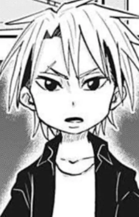 imagem de capa do personagem Chizuru Mifune