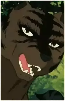 imagem de capa do personagem Chutora