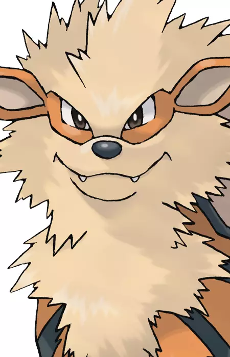 imagem de capa do personagem Windie