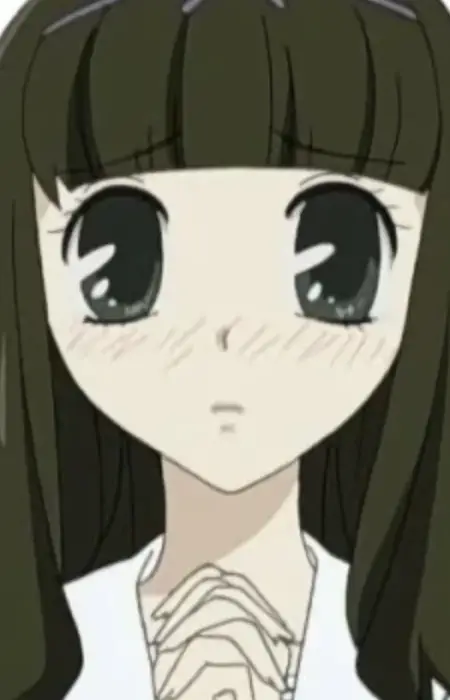 imagem de capa do personagem Satomi Arimori