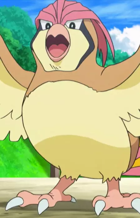 imagem de capa do personagem Pigeon