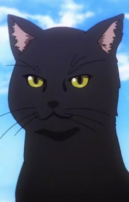 imagem de capa do personagem Yukari Endou