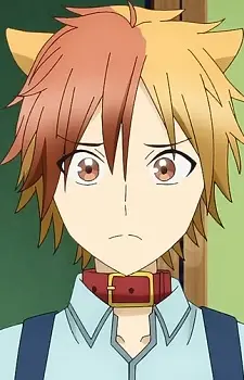 imagem de capa do personagem Tamao Akisame