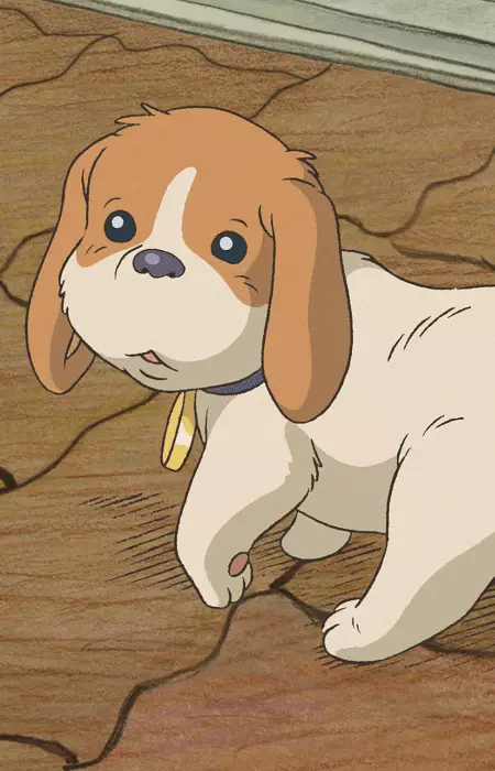 imagem de capa do personagem Koro