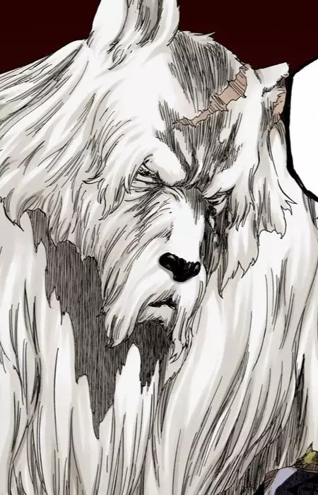 imagem de capa do personagem Wolfman Clan Elder