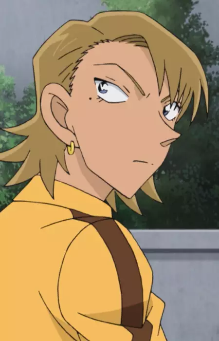 imagem de capa do personagem Kaori Hirasawa