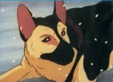 imagem de capa do personagem Buck