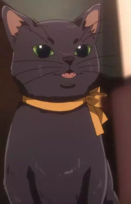imagem de capa do personagem Olivia