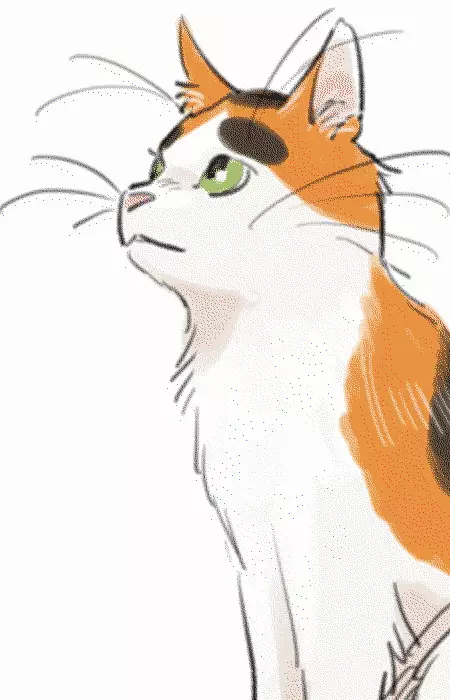 imagem de capa do personagem Buchio Ooishi