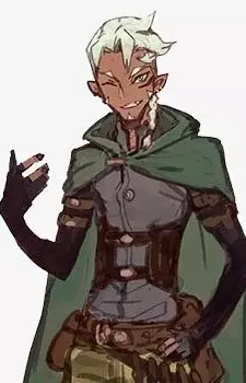 imagem de capa do personagem Half-Elf Sekkou