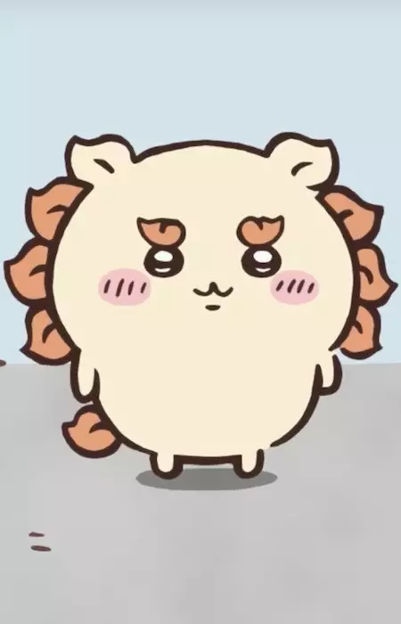 imagem de capa do personagem Shisa