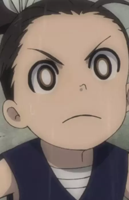 imagem de capa do personagem "Master of the Lion's Fist" Protagonist