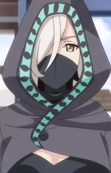 imagem de capa do personagem Sashin
