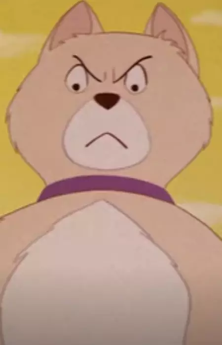 imagem de capa do personagem Shiro