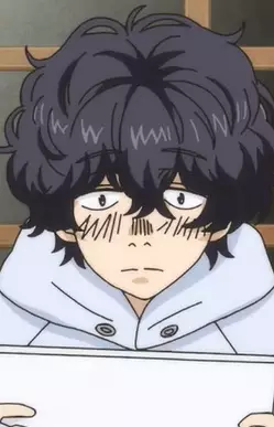 imagem de capa do personagem Haruyuki Hayashi