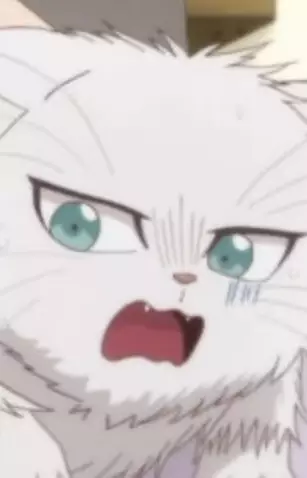 imagem de capa do personagem Leo