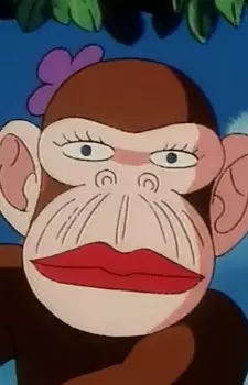 imagem de capa do personagem Rinrin