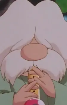 imagem de capa do personagem Pokémon Flute Player