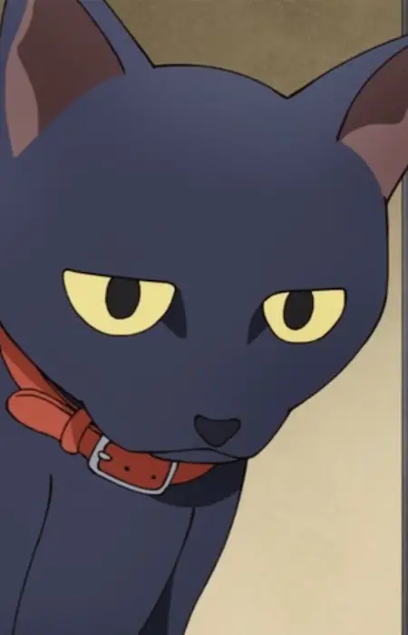imagem de capa do personagem Cat