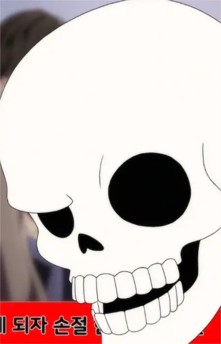 imagem de capa do personagem Skull