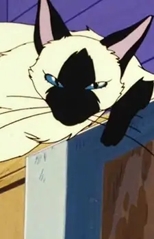 imagem de capa do personagem Siamese Cat