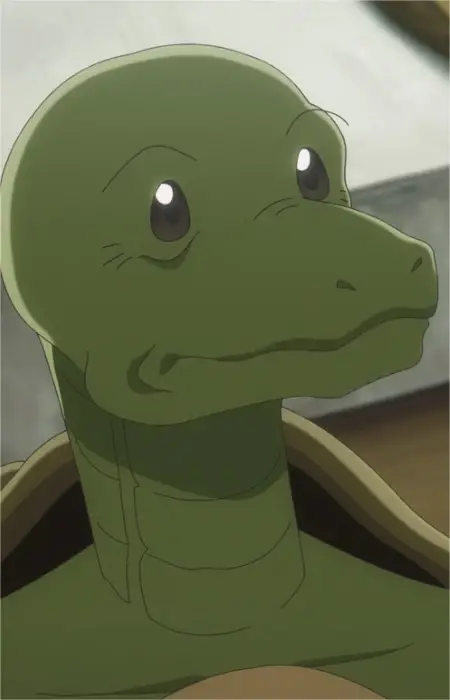 imagem de capa do personagem Turtle Merchant