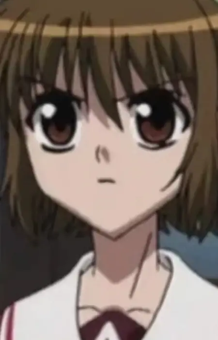 imagem de capa do personagem Miyuki Sawamura