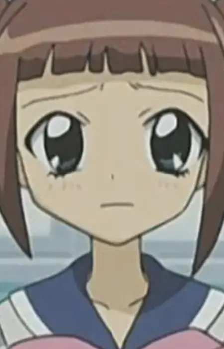 imagem de capa do personagem Sayaka