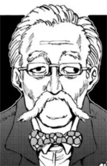 imagem de capa do personagem Iriya