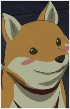 imagem de capa do personagem Mameshiba