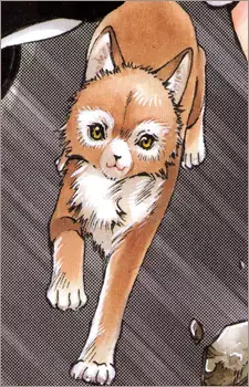 imagem de capa do personagem Inuki